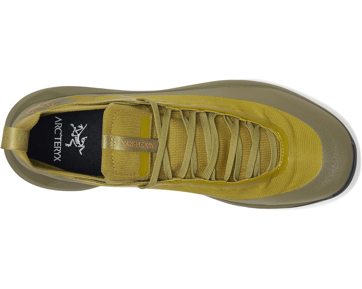 Men's olive lace-up hiking shoe toe view with padded collar and logo tongue