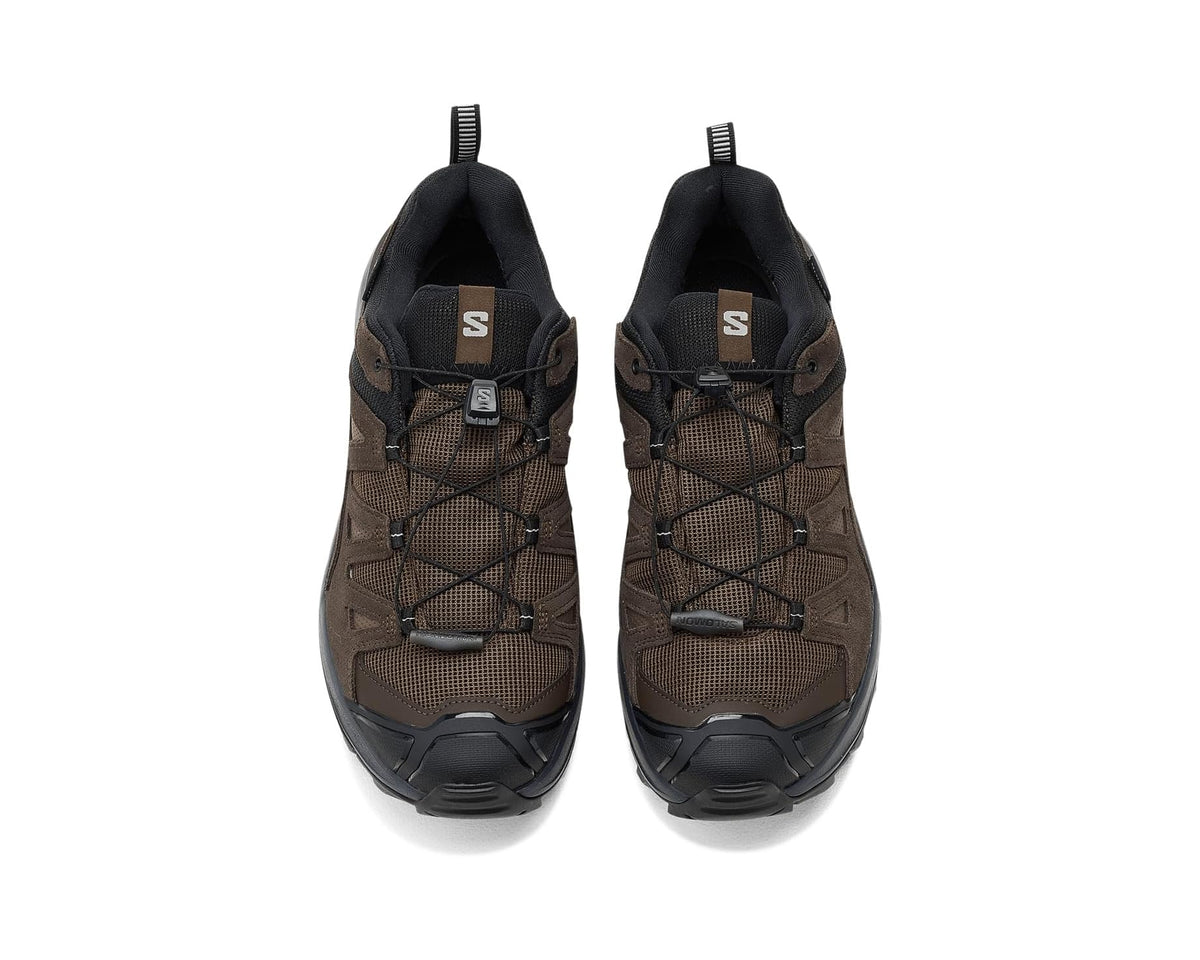 Men's Salomon X Ultra LTR Mid GTX Dark Earth/Delicioso/Sharkskin