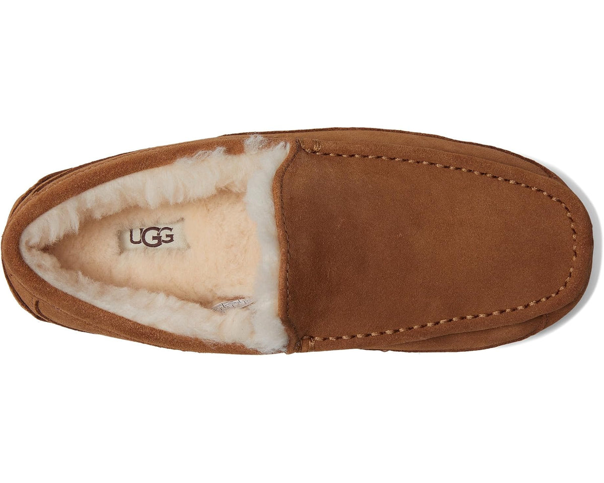Men's UGG Wide Ascot Chestnut