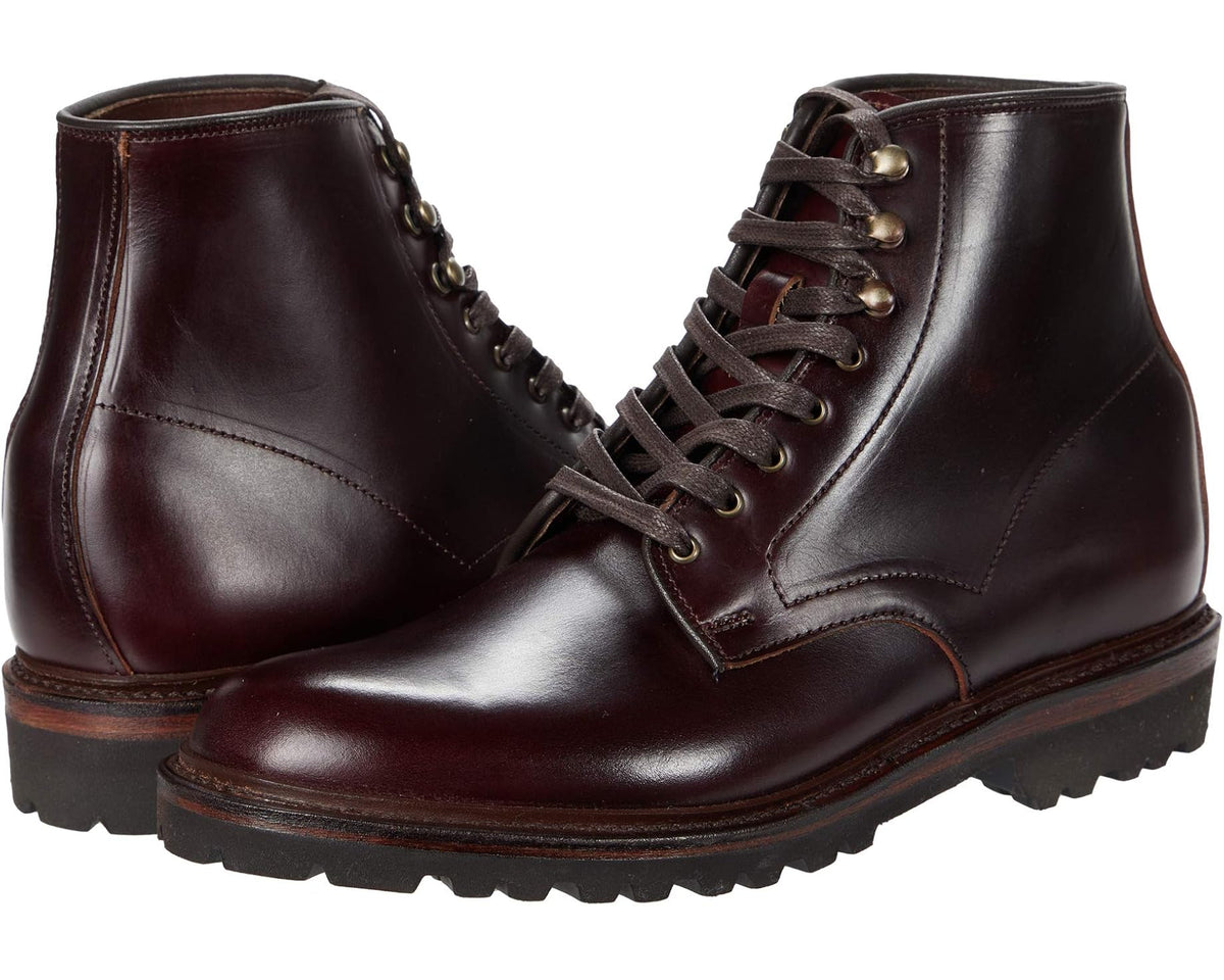 Men's Allen Edmonds Higgins Lug Chestnut